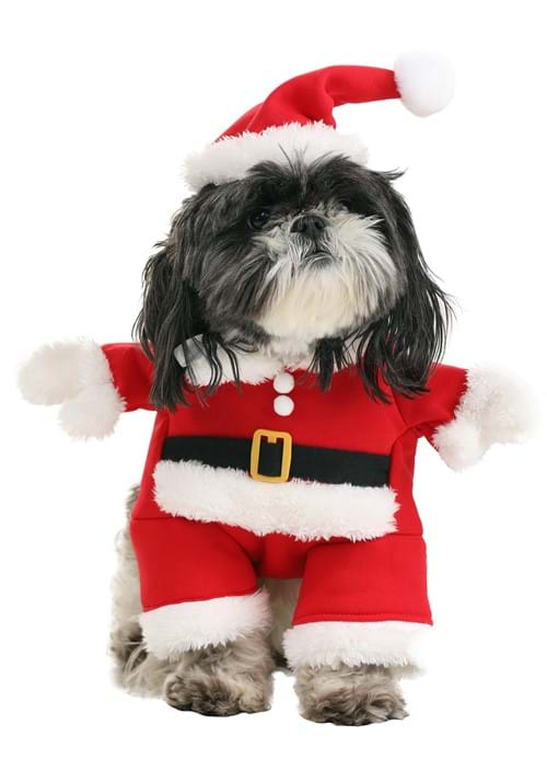 Classic Pet Santa Costume