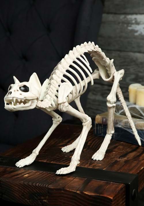 10.5-Inch Cat Skeleton Bones Decoration
