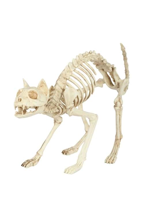 10.5-Inch Cat Skeleton Bones Decoration