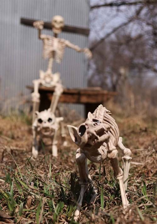 10.5-Inch Cat Skeleton Bones Decoration