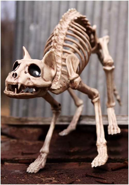 10.5-Inch Cat Skeleton Bones Decoration