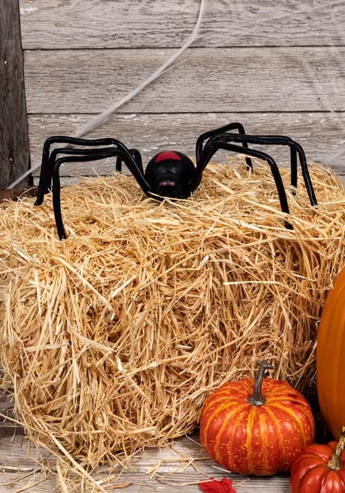 20-Inch Black Widow Spider Decoration