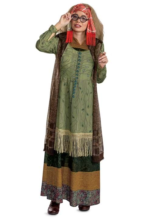 Deluxe Harry Potter Women's Professor Trelawney Costume