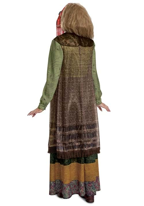 Deluxe Harry Potter Women's Professor Trelawney Costume