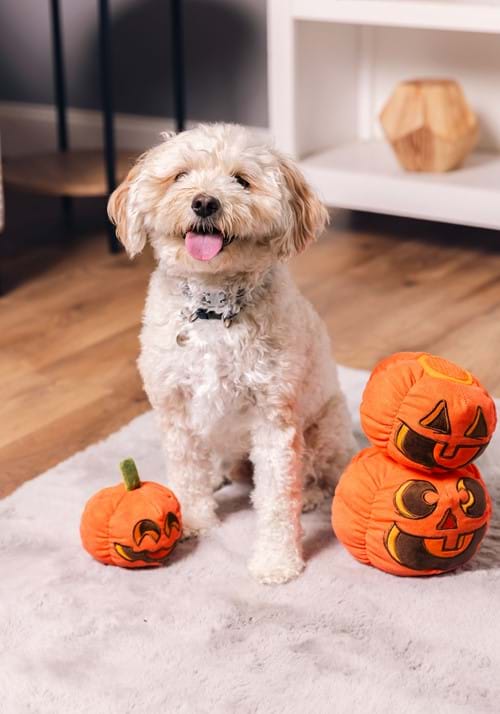 Pumpkin Pals Squeaky Pet Toy Set
