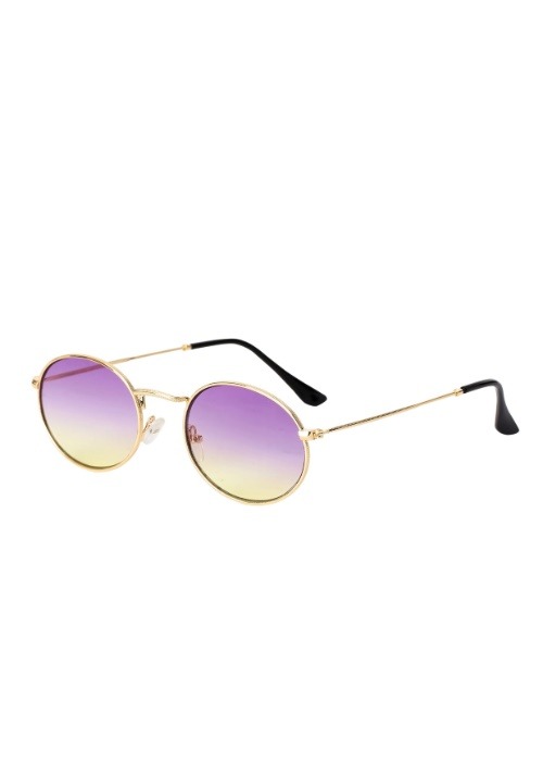 Gold Rim Costume Purple Fade Sunglasses