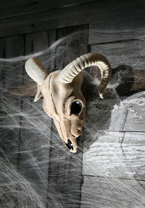 13-Inch Plastic Ram Skull Decoration