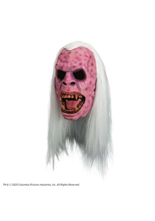 Ghostbusters Library Ghost Adult Premium Mask