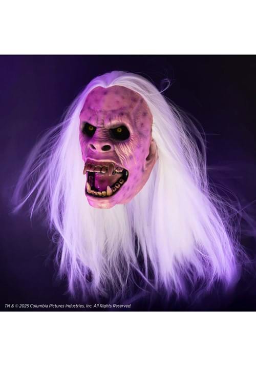 Ghostbusters Library Ghost Adult Premium Mask 4 Ghostbusters Library Ghost Adult Premium Mask