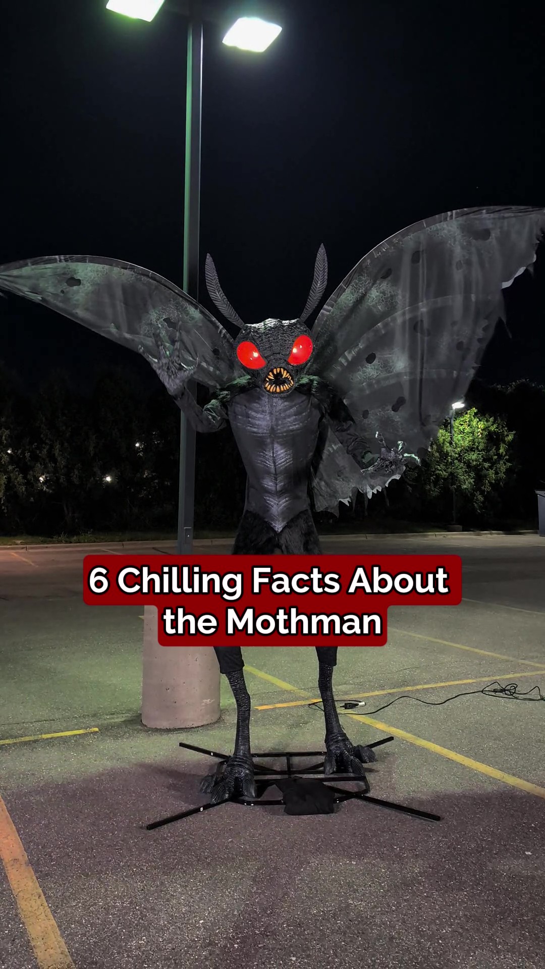11.5FT Animatronic Mothman Decoration