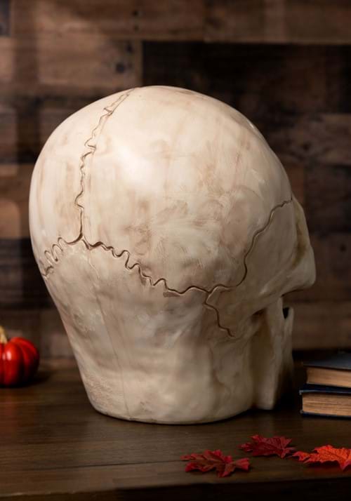 18.5 Inch Giant Skull Prop