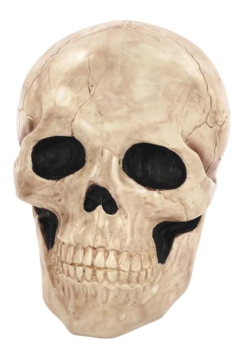 18.5 Inch Giant Skull Prop