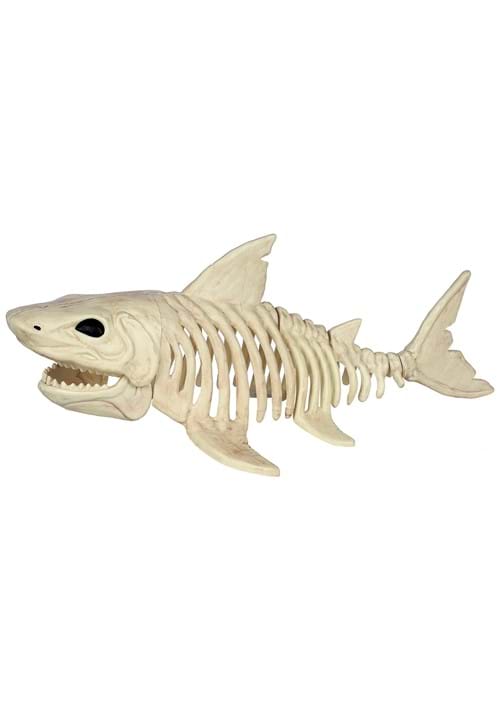2 Foot Skeleton Shark Decoration