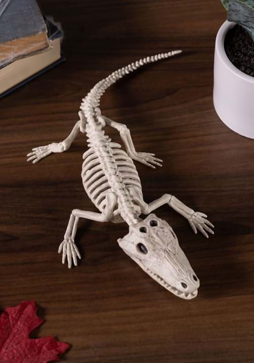 10-Inch Skeleton Baby Alligator Decoration