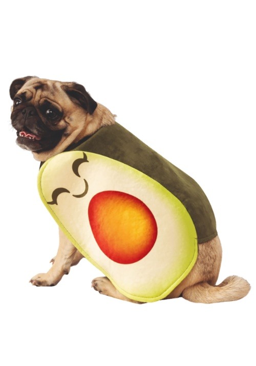 Adorable Pet Avocado Costume