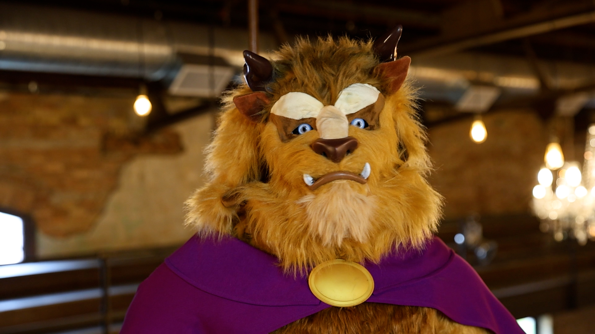 Authentic Caped Disney Beast Men's Costume 5 Authentic Caped Disney Beast Men's Costume