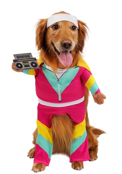 1980s Track Suit Pet Costume
