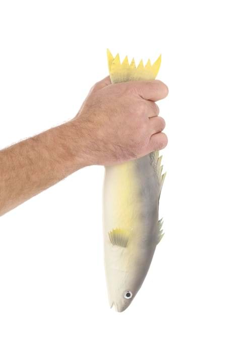 14.25-Inch Trout Rubber Fish Prop Accessory