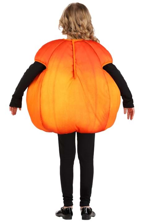 Fall Pumpkin Kid's Costume
