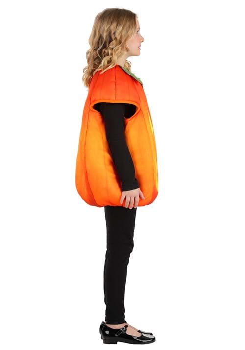 Fall Pumpkin Kid's Costume 4 Fall Pumpkin Kid's Costume