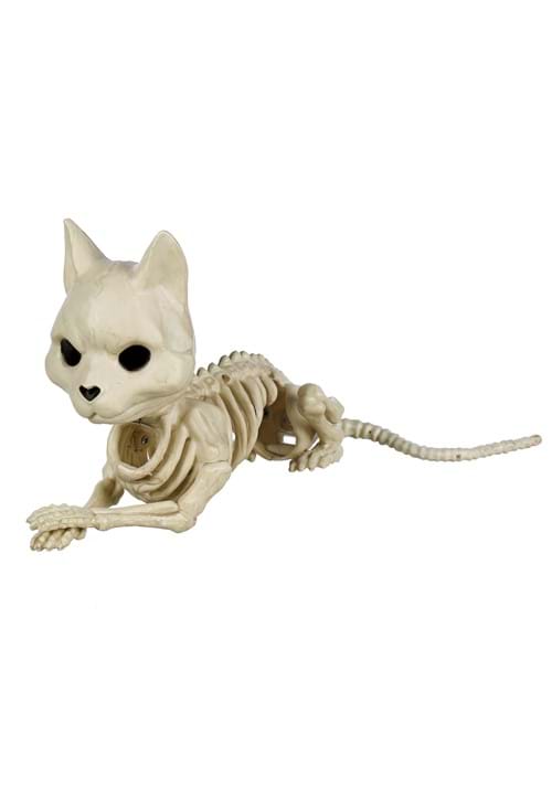10.5-Inch Cute Sitting Cat Skeleton Decoration