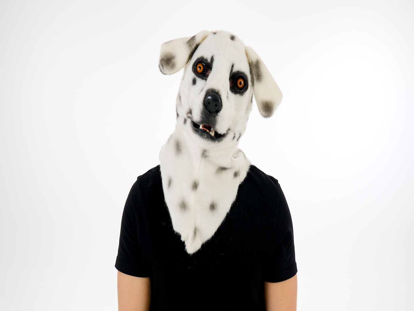 Mouth Mover -Dalmatian 3 Mouth Mover -Dalmatian