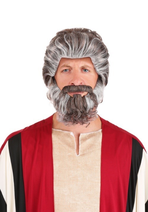 Biblical Moses Adult Costume Wig and Beard