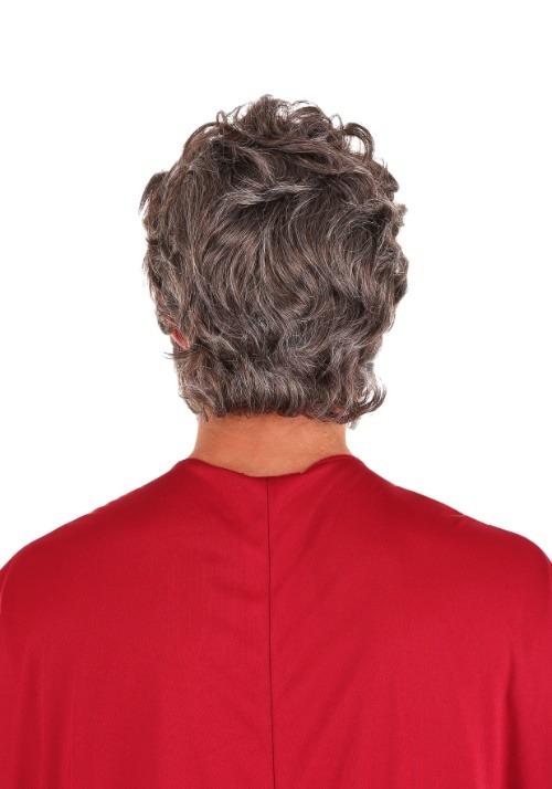 Biblical Moses Adult Costume Wig and Beard