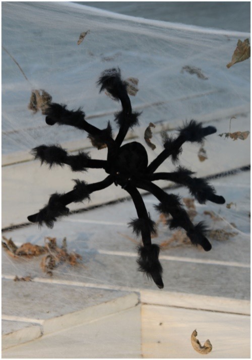 20-Inch Black Spider Poseable Decoration