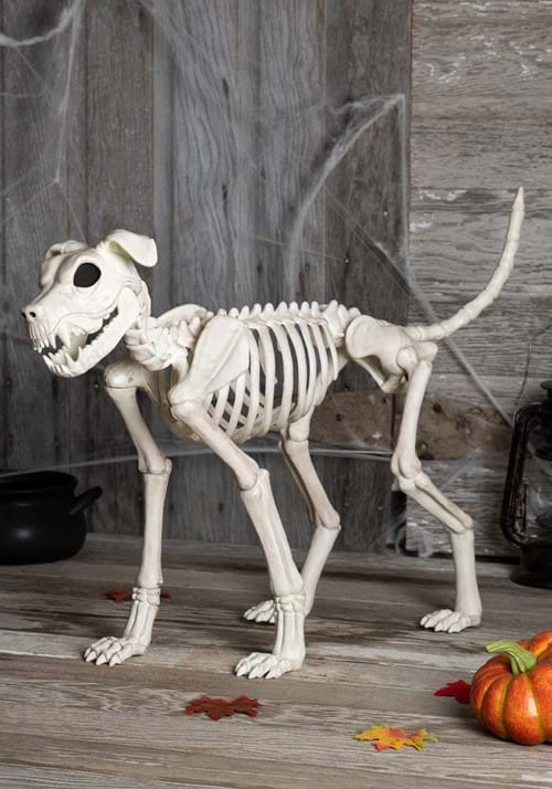 28-Inch Buster Bonez Dog Skeleton Decoration