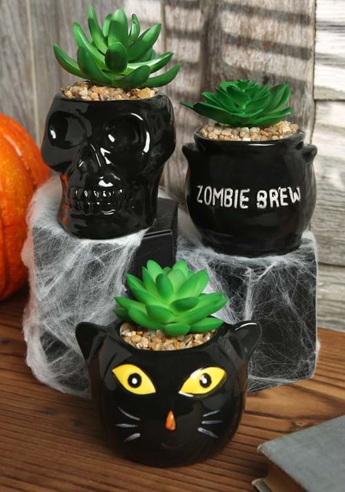 Cauldron, Cat & Skeleton Decorative Succulent Planter Set