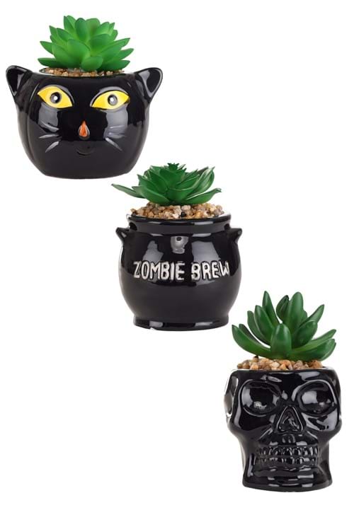 Cauldron, Cat & Skeleton Decorative Succulent Planter Set