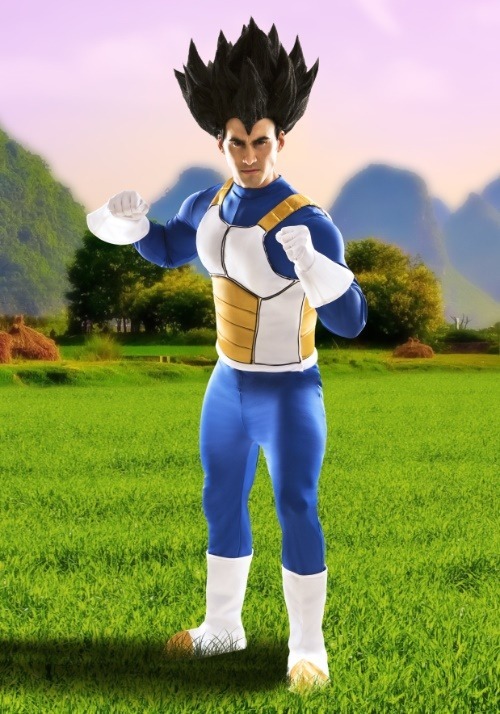 Dragon Ball Z Vegeta Men's Costume