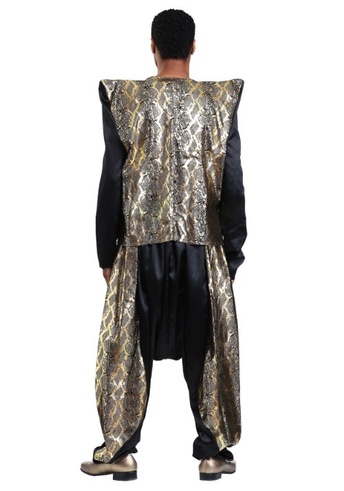 Adult Can't Touch This Pop Star Costume