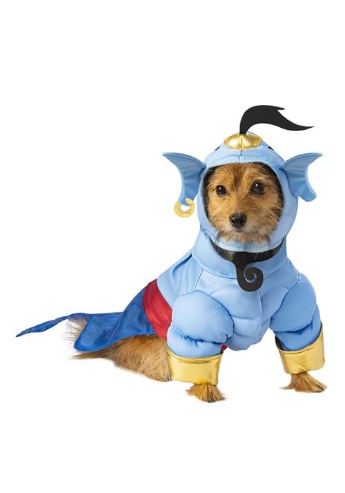 Aladdin Genie Cat Costume