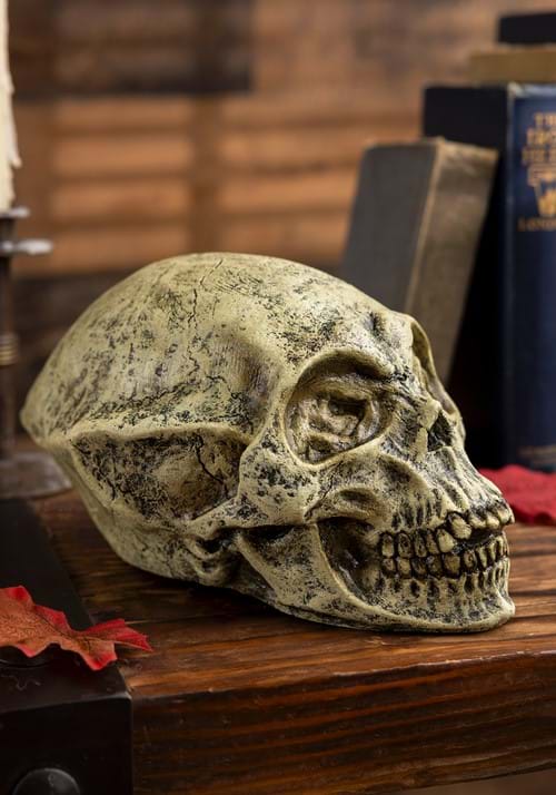 Alien Skull Halloween Prop