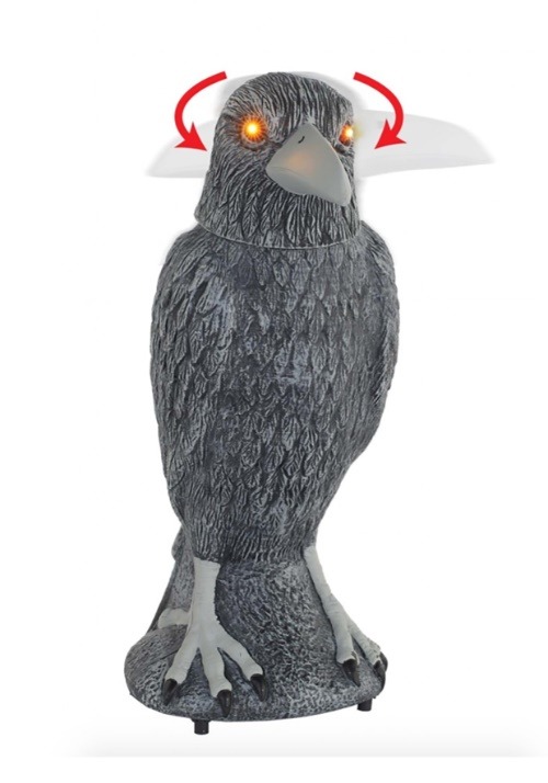 Animated Spooky Raven Halloween Décor