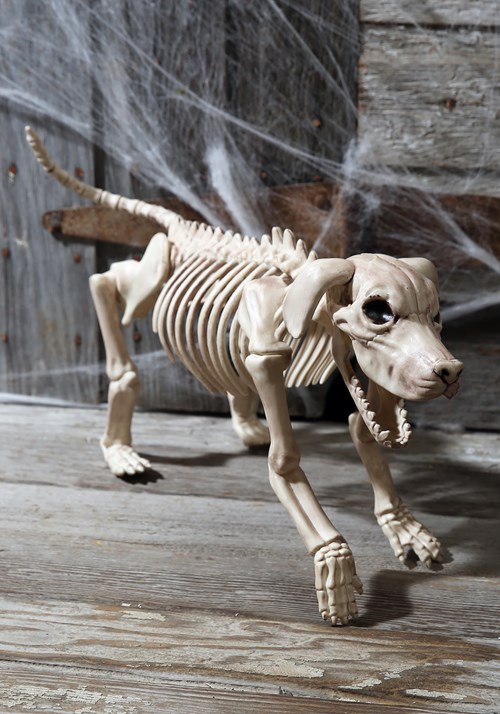 20-Inch Beagle Bonez Skeleton Dog Prop