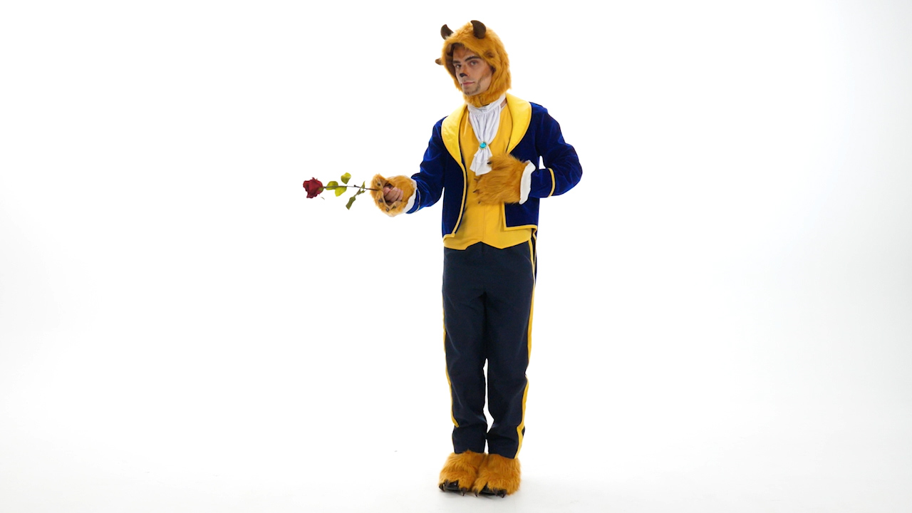 Beauty and the Beast Men's Beast Costume