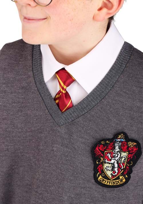 Deluxe Harry Potter Kid's Costume
