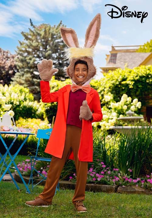 Disney Alice in Wonderland Boy's March Hare Costume
