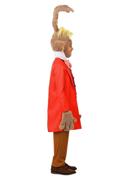 Disney Alice in Wonderland Boy's March Hare Costume