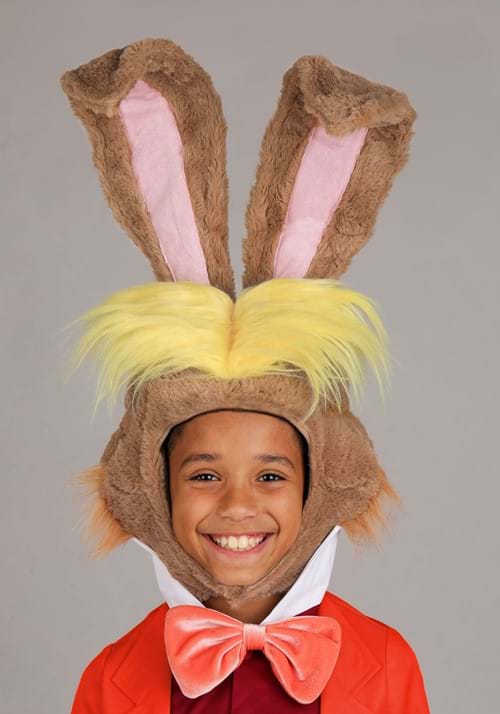 Disney Alice in Wonderland Boy's March Hare Costume