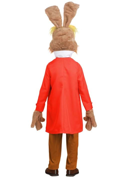 Disney Alice in Wonderland Boy's March Hare Costume