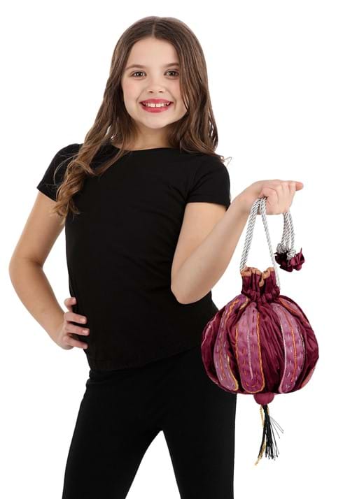 Hermione's Bag Costume Accessory