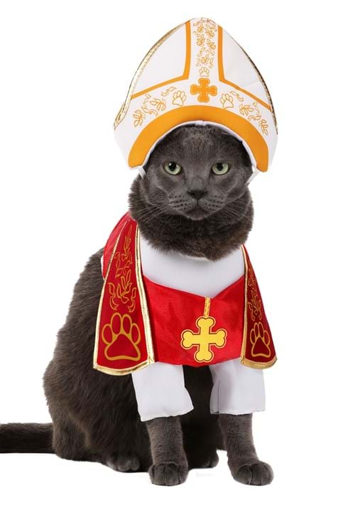 Holy Hound Pet Costume