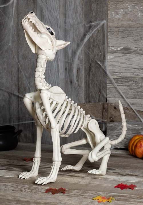 27-Inch Howl At The Moon Dog Skeleton Decoration