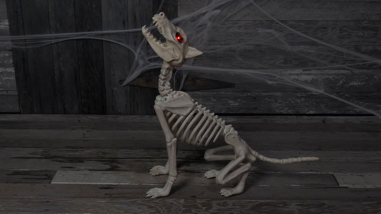 27-Inch Animated Howling Bonez Skeleton Dog Decoration 3 27-Inch Animated Howling Bonez Skeleton Dog Decoration