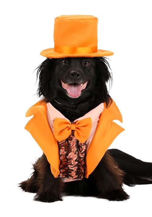 Iconic Orange Tuxedo Costume for Pets