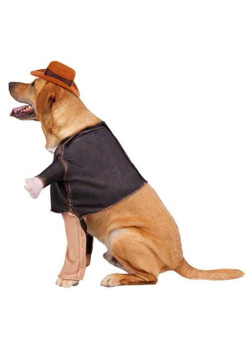 Indiana Jones Costume for Pets